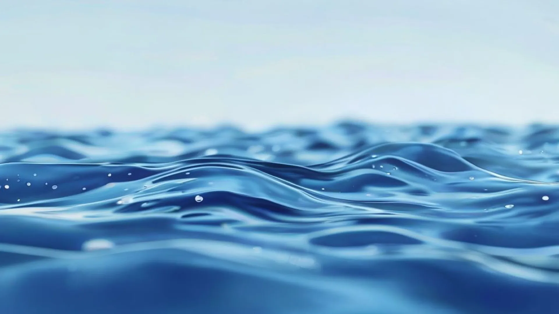 مشروع توسعة المجمع العلمي
